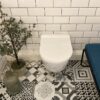 KOMPLET PAKKE - GROHE Rapid SL med Bella Toiletskål & Sæde