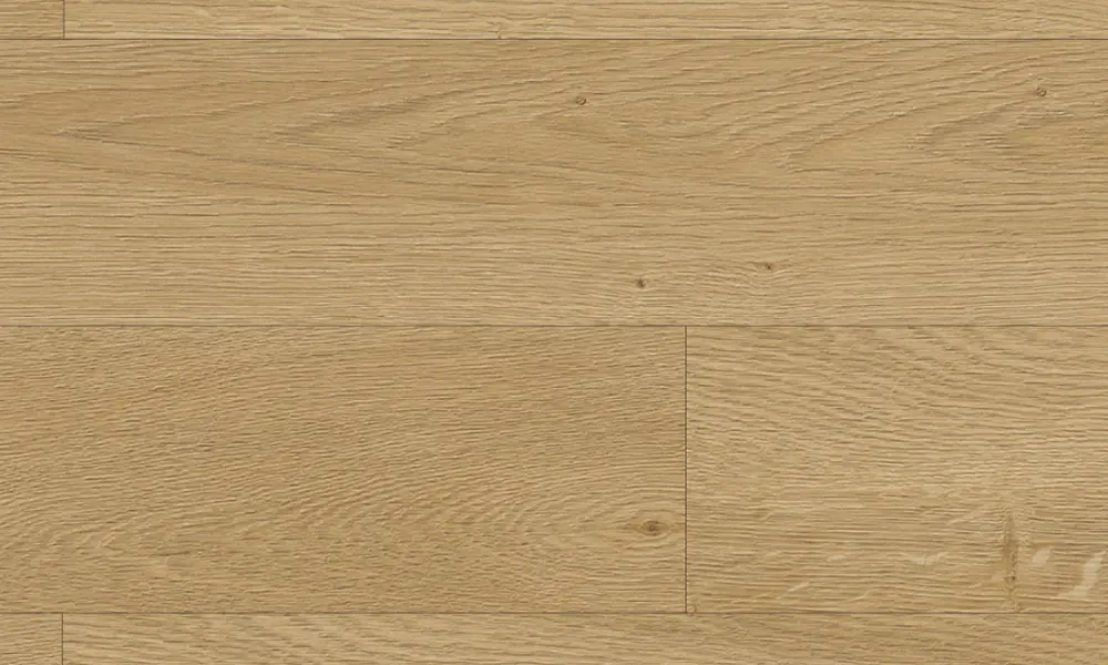 Plank DP9571, V4 2