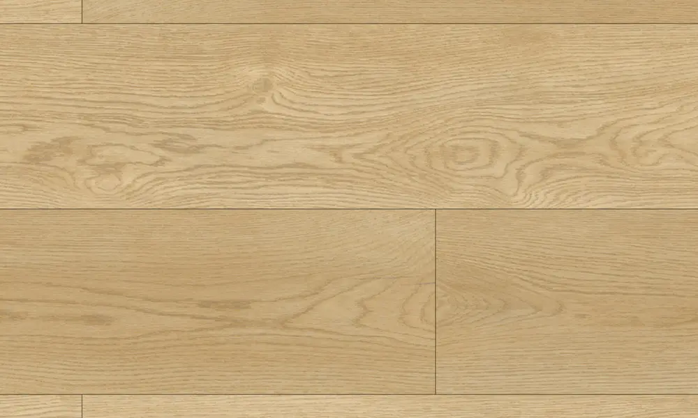 Plank DP9581, V4 2