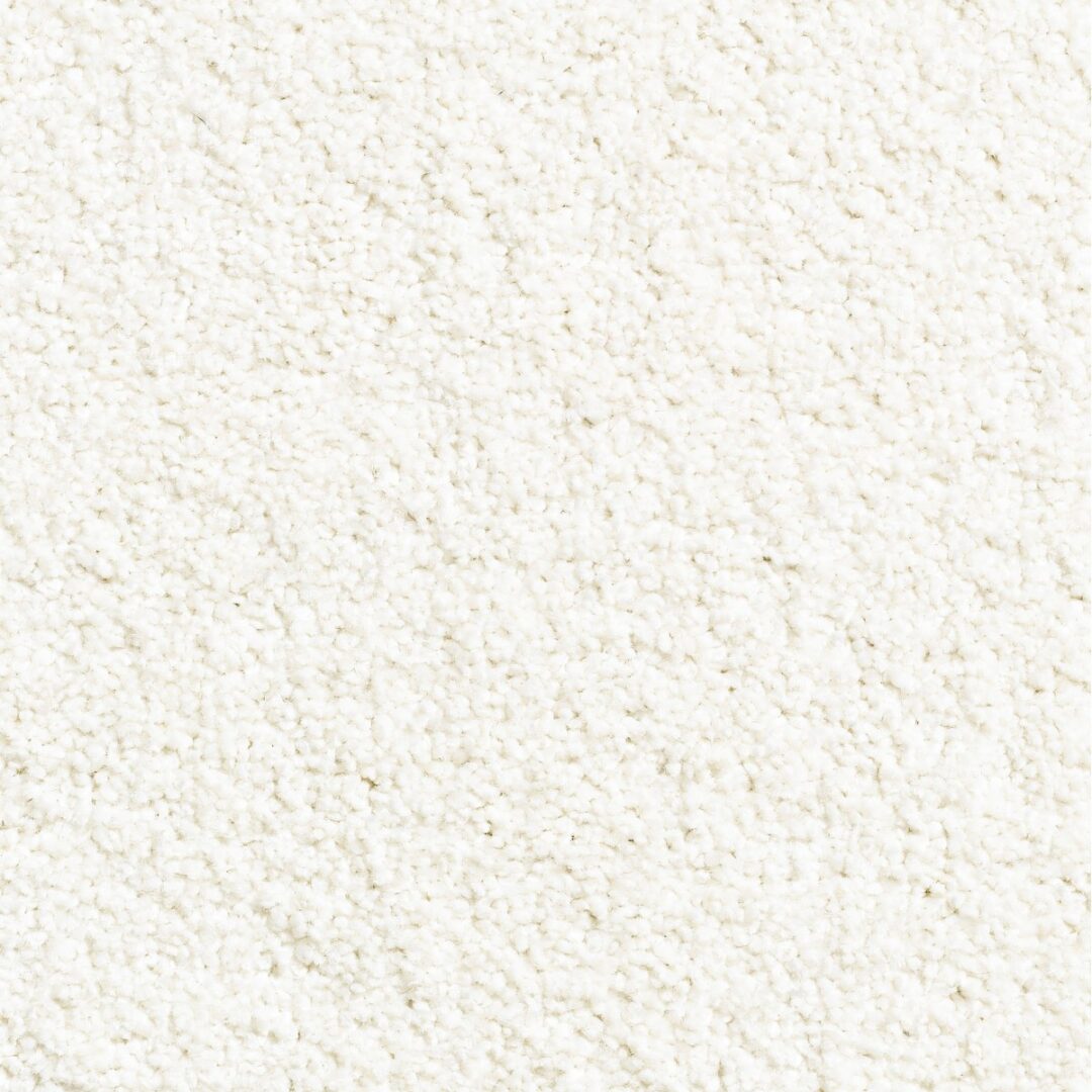 Prestige Shagtæppe Komfort i Polypropylen 2
