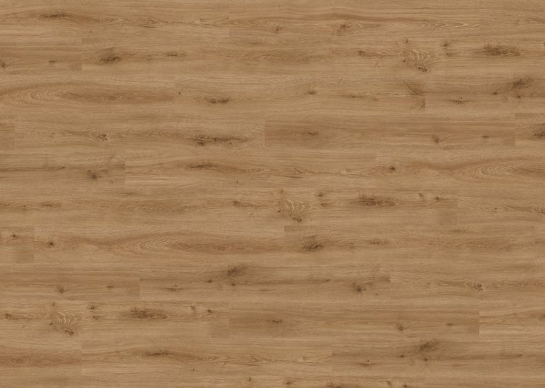 Daily Edition eg Alta Light Cream