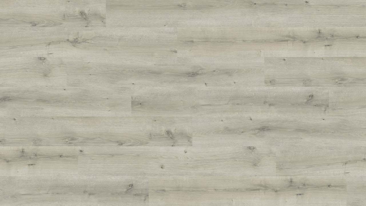 HARO Laminatgulv Daily Edition Plank Eg Breda lysegrå børstet3