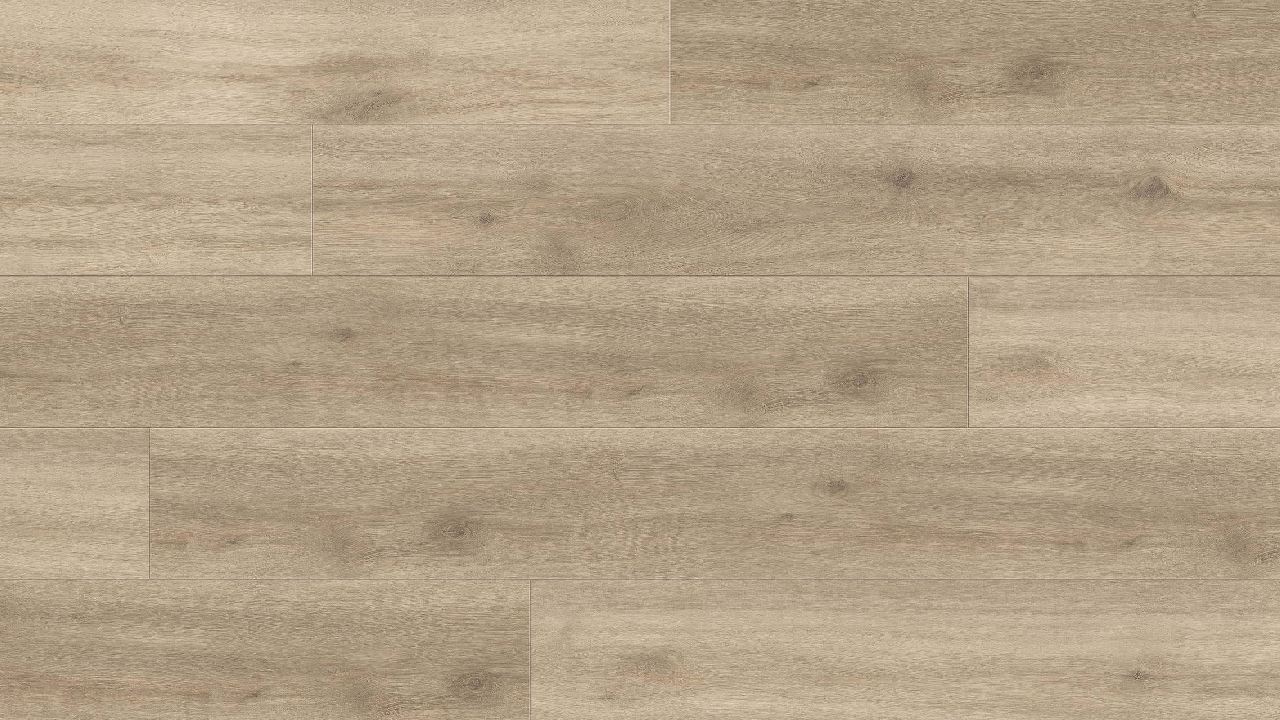 Haro ClassicAqua Plank XL 4V eg Provence Creme