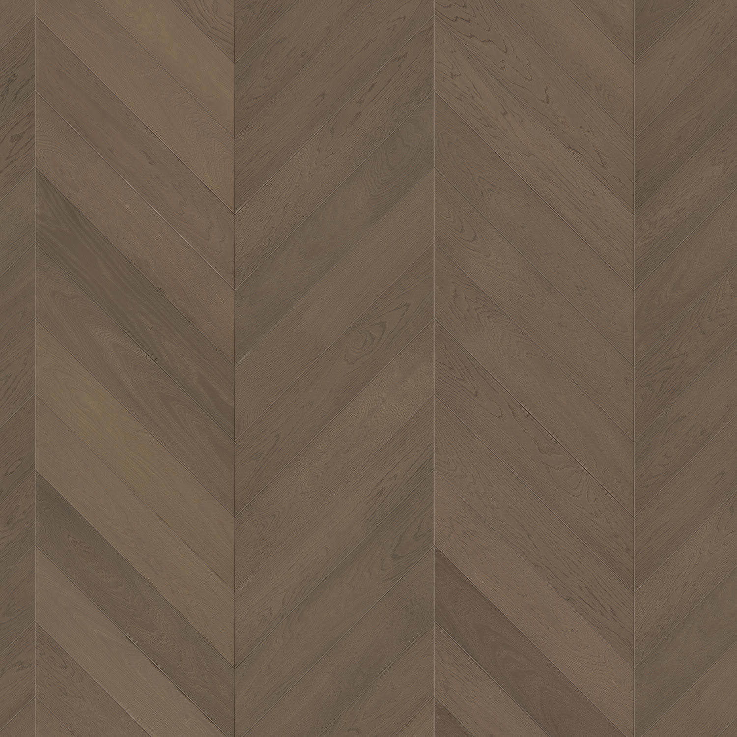 Chevron 4V Eg grafit grå Selectiv børstet 1