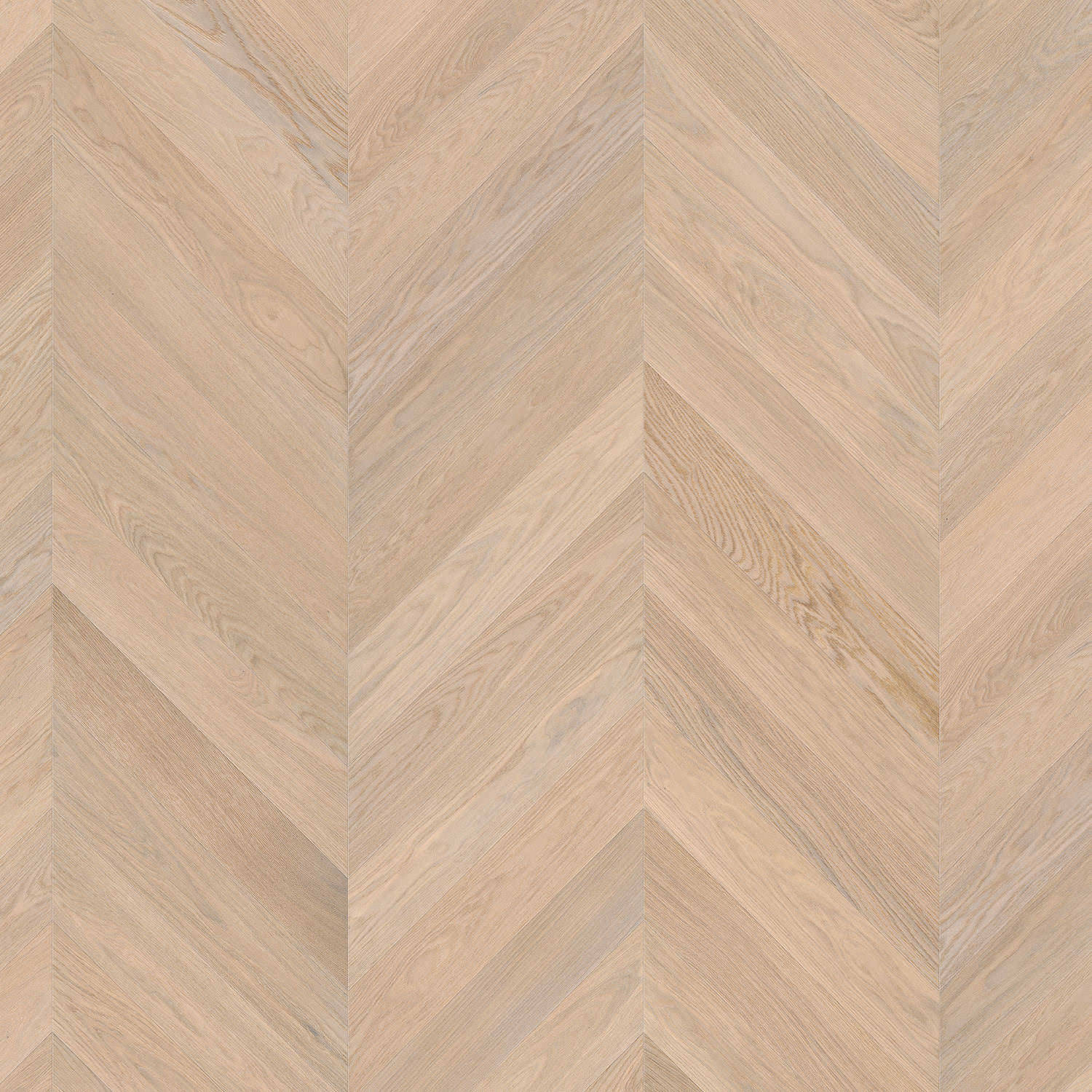 Chevron 4V Eg hvid Selectiv børstet 1