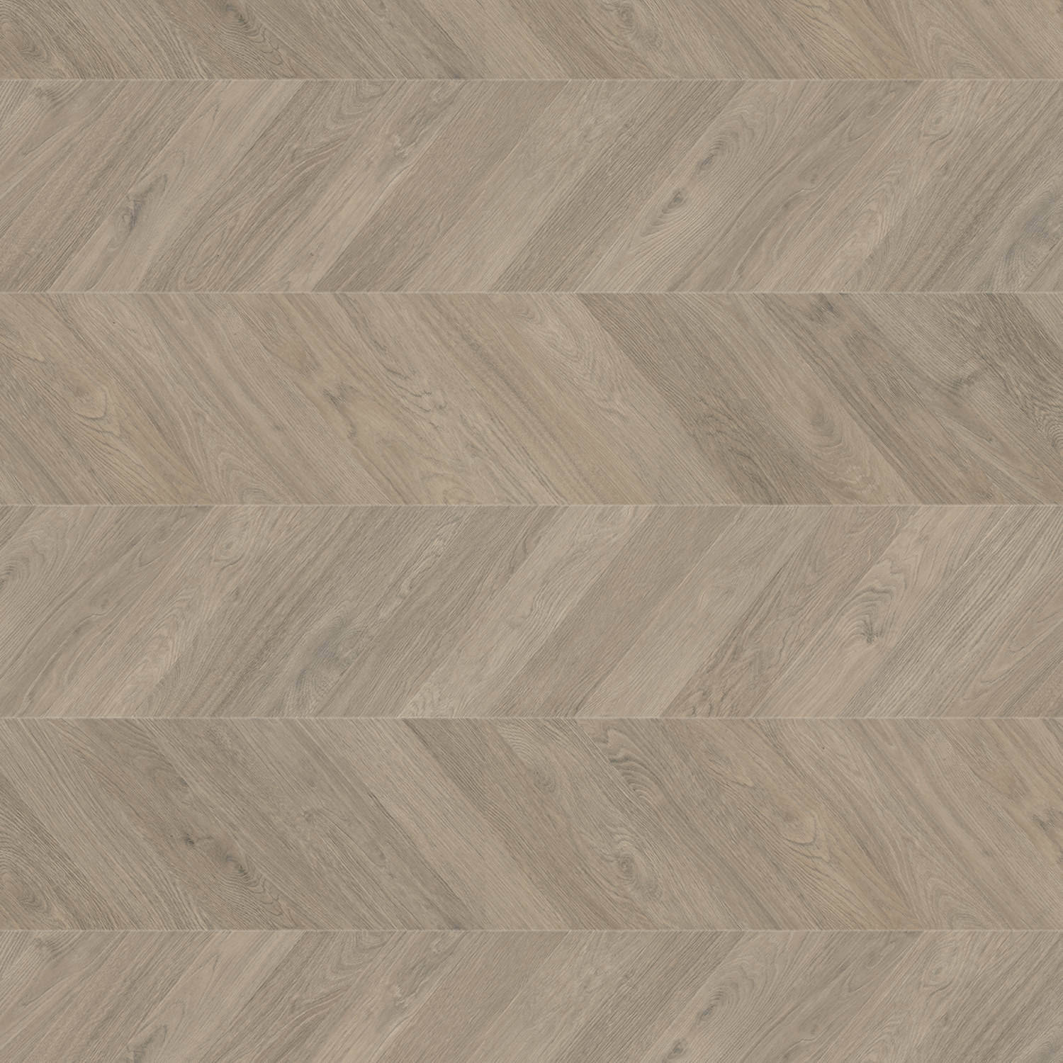 Chevron 4VM Eg grå authentic 1